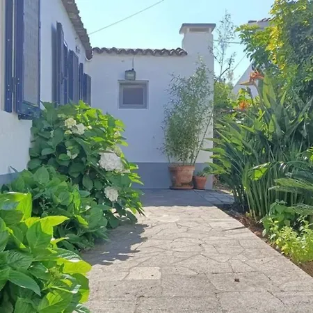 Casa Azores Zen Ribeira Grande Exterior photo